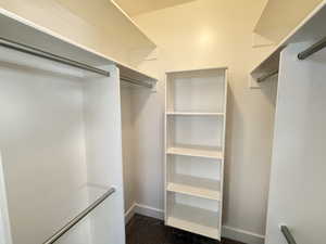 Walk in closet with dark carpet in Master bedroom