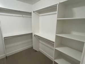 Walk in closet with dark colored carpet