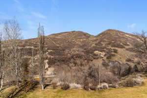View of mountain background