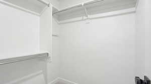 View of walk in closet