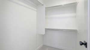 Walk in closet featuring light carpet