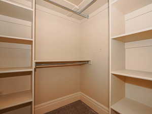 View of walk in closet