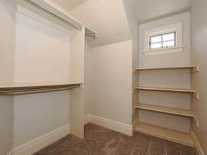 Walk in closet with dark carpet