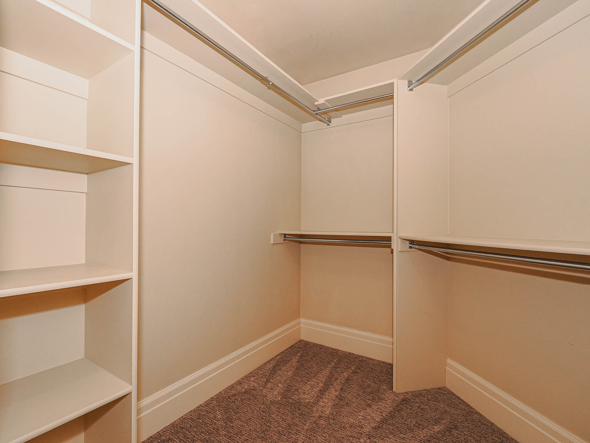 Walk in closet featuring dark colored carpet