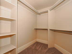 Walk in closet featuring dark colored carpet