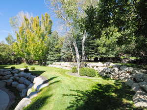 View of green lawn featuring view of scattered trees