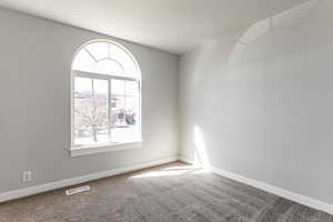 Unfurnished room with carpet flooring and a textured ceiling