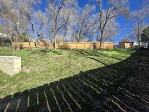 View of fenced backyard