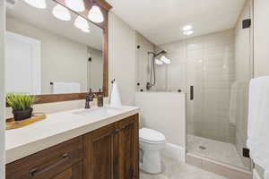 Lower Level Bathroom featuring a shower stall and vanity