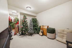 Lower Level Storage Room