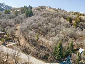View of mountain backdrop with a tree filled landscape