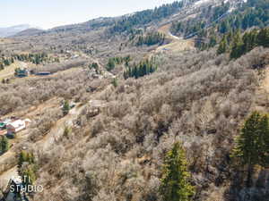 Bird's eye view of a mountain backdrop and a heavily wooded area