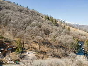 View of nature featuring mountains