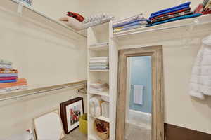 Walk in closet with light carpet