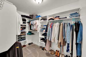 Walk in closet with light colored carpet
