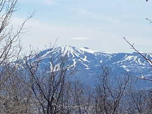 View of mountain backdrop
