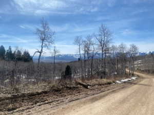 View of mountain backdrop