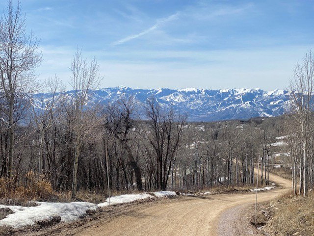 View of mountain background