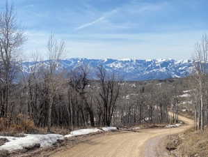 View of mountain background