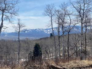 Mountain view
