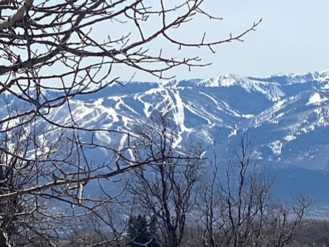 View of mountain backdrop