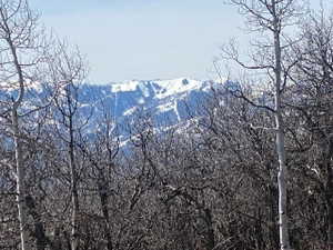 View of mountain background