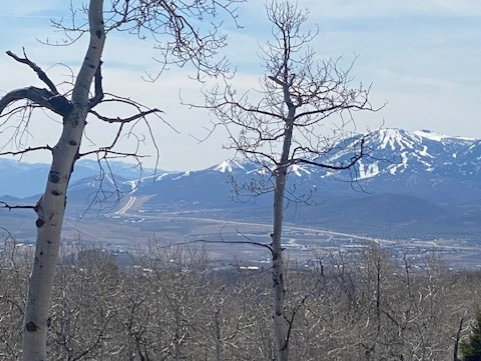 View of mountain backdrop