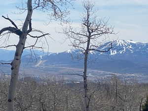 View of mountain backdrop