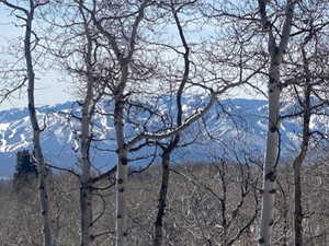 View of mountain backdrop