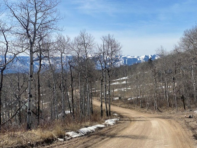 View of dirt / gravel road with a mountain view