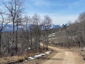 View of dirt / gravel road with a mountain view