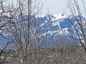 View of mountain backdrop