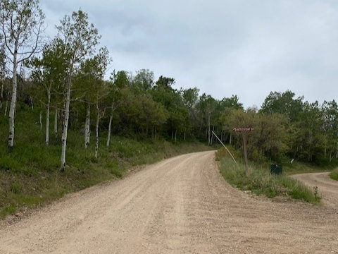 Gravel road featuring a gentle curve with a wooded perimeter
