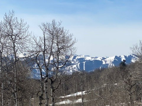 View of mountain background