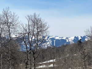 View of mountain background