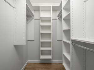 Walk in closet featuring dark wood-type flooring