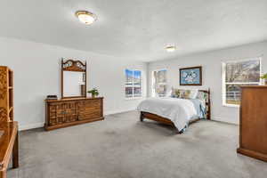 Bedroom with a textured ceiling and carpet floors