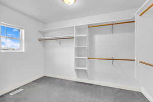 Walk in closet with light carpet