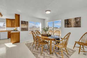 Dining space featuring light flooring and a textured ceiling