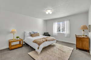 Bedroom featuring carpet floors and a textured ceiling