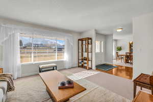 Living room featuring light colored carpet, plenty of natural light, and a textured ceiling