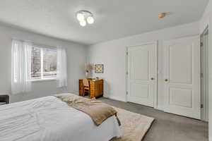 Carpeted bedroom with baseboards and a textured ceiling