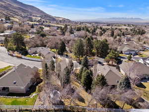 Aerial view of residential area with a mountain backdrop