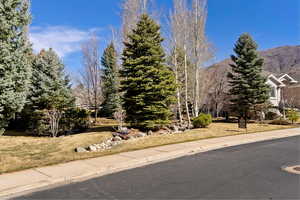 View of front of property with a front lawn and a mountain view