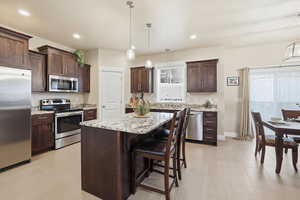 Kitchen featuring stainless steel appliances, dark wood finish cabinets, a center island, and light stone countertops