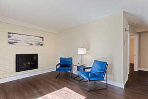 Modern fireplace insert.