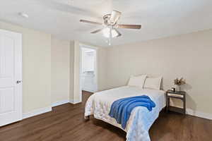 Bedroom with dark wood-type flooring, a walk in closet, a ceiling fan, and a textured ceiling