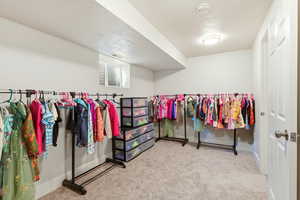 Walk in closet with light colored carpet