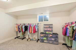 Walk in closet featuring carpet floors