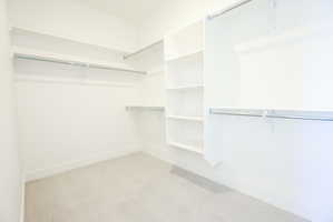 Primary Walk-in closet featuring light carpet